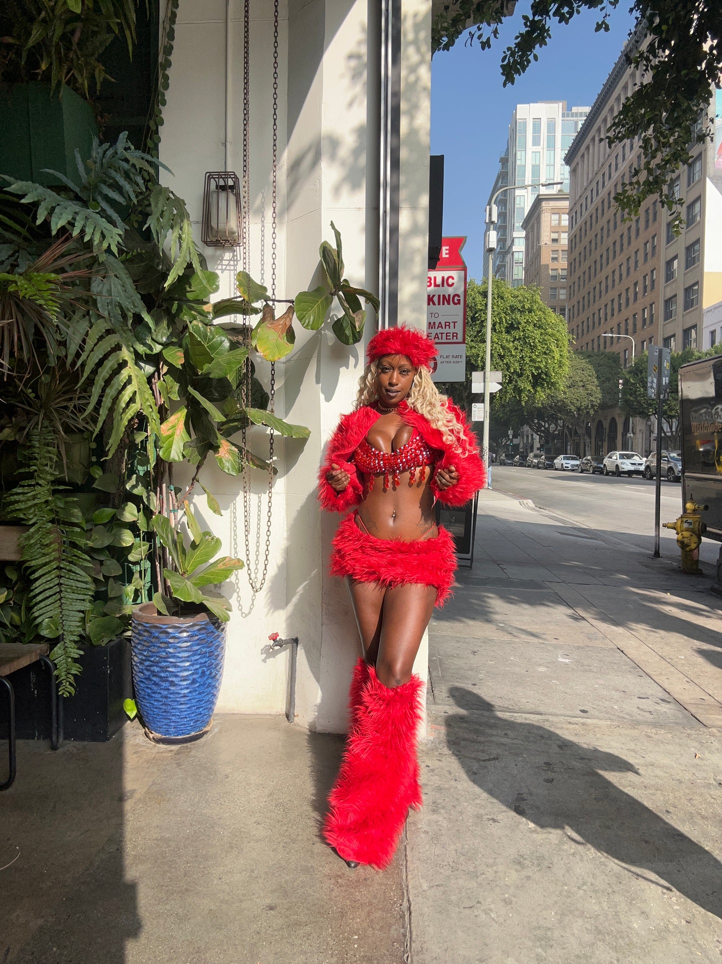 Kali Mini Set (Just fur)